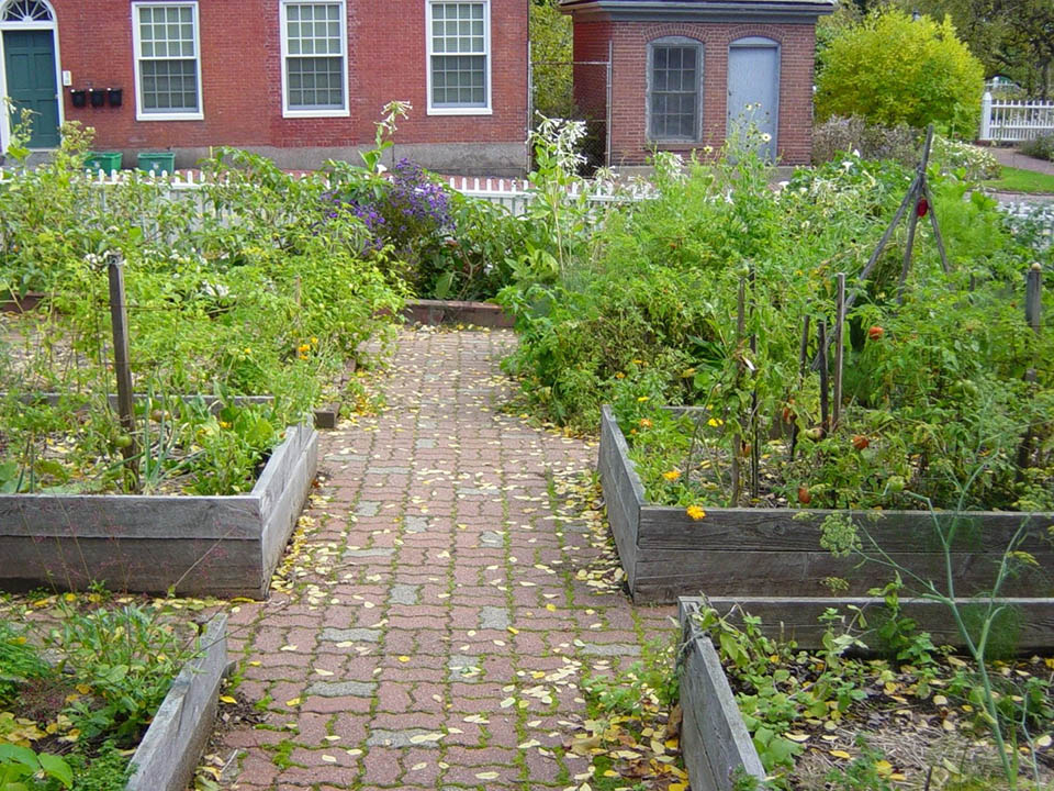 The Community Garden at Strawbery Banke where members try out heirloom seeds.